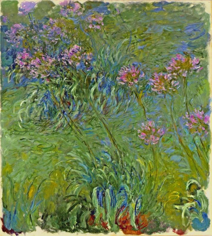 Agapanthus Flowers 1914-1917 - Claude Monet Paintings